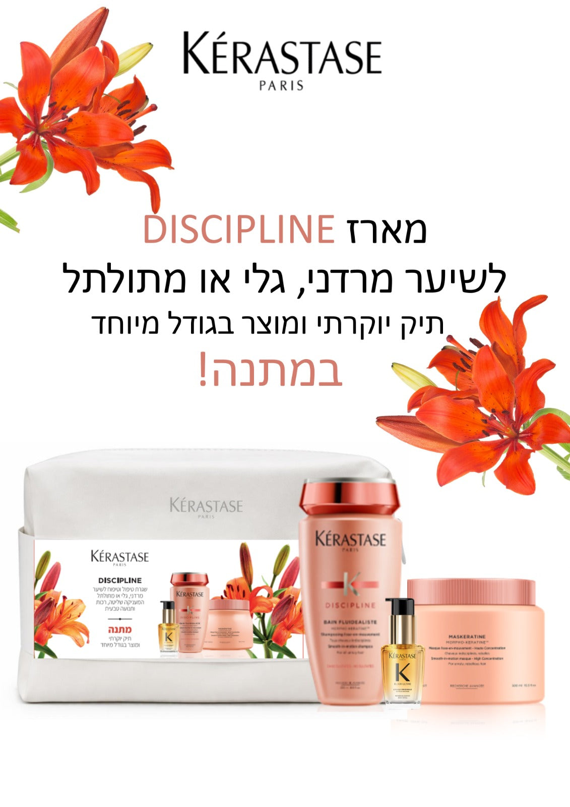 BOX DISCIPLINE  <br> מארז דיספלין 2026